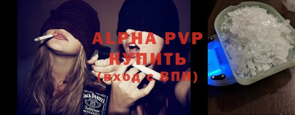 ПСИЛОЦИБИНОВЫЕ ГРИБЫ Вяземский
