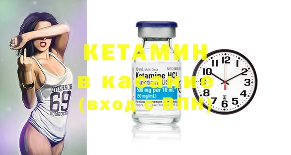 ПСИЛОЦИБИНОВЫЕ ГРИБЫ Вяземский