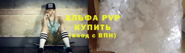 ПСИЛОЦИБИНОВЫЕ ГРИБЫ Вяземский