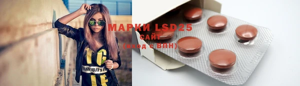 мдпв Вязники
