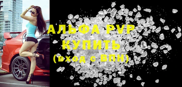 ПСИЛОЦИБИНОВЫЕ ГРИБЫ Вяземский