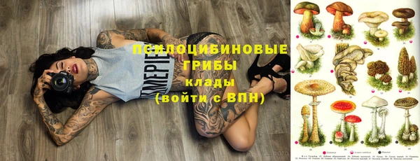 ПСИЛОЦИБИНОВЫЕ ГРИБЫ Вяземский