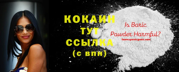 ПСИЛОЦИБИНОВЫЕ ГРИБЫ Вяземский