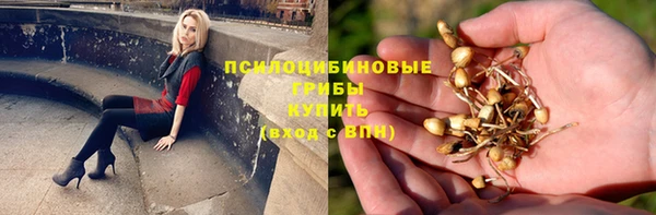 ПСИЛОЦИБИНОВЫЕ ГРИБЫ Вяземский