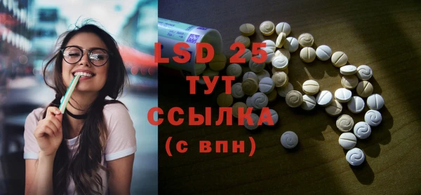 ПСИЛОЦИБИНОВЫЕ ГРИБЫ Вяземский
