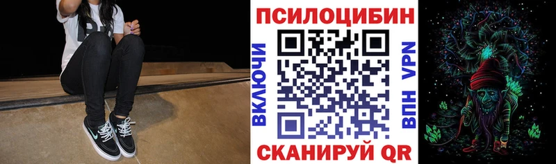 закладки  Энгельс  Псилоцибиновые грибы прущие грибы 